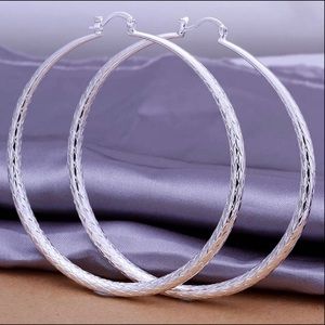 Sterling Silver Earnings